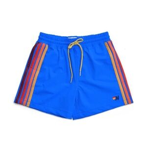 Aviator nation toddler swim trunks